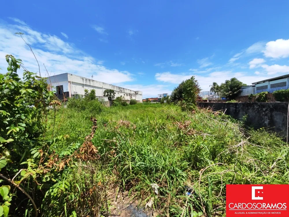 Terreno, 2200 m² - Foto 2