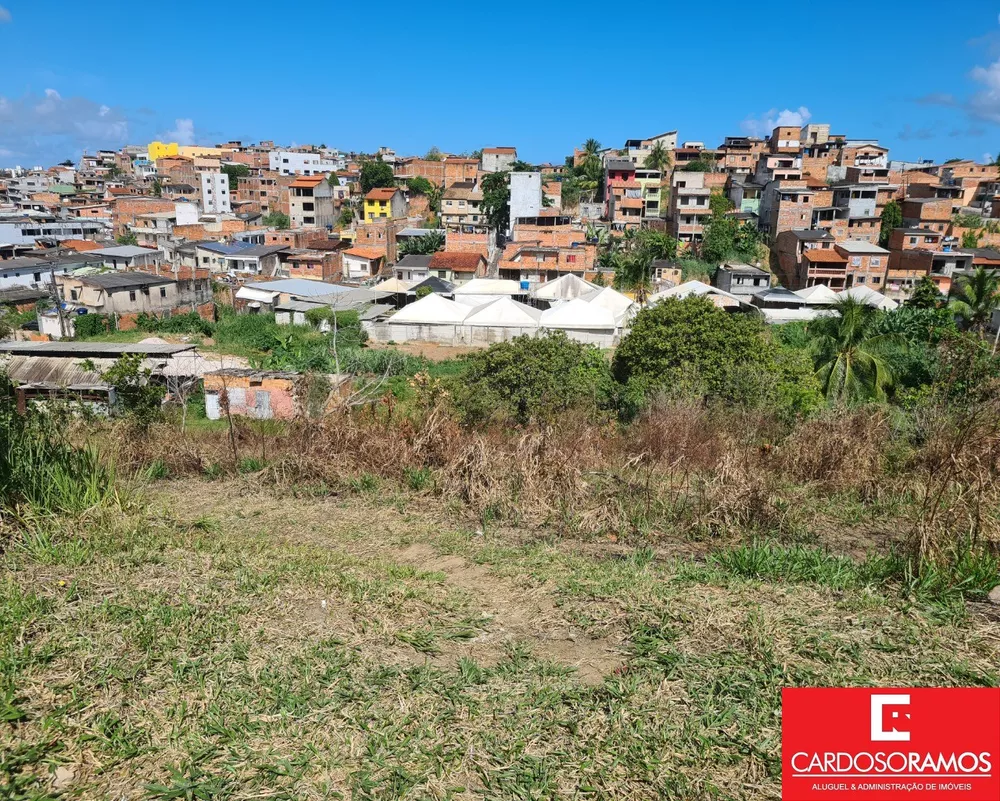 Terreno, 29000 m² - Foto 2