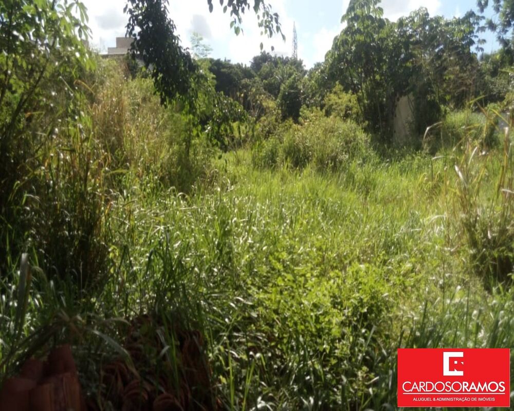 Terreno, 9125 m² - Foto 3