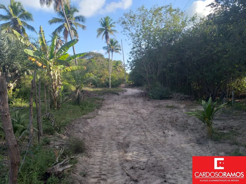 Terreno, 8600 m² - Foto 5