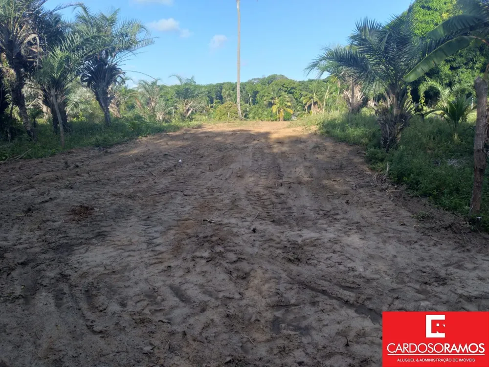 Terreno, 8600 m² - Foto 4
