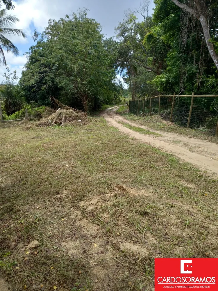 Terreno, 8600 m² - Foto 3