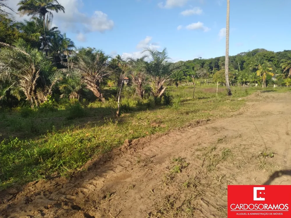 Terreno, 8600 m² - Foto 1