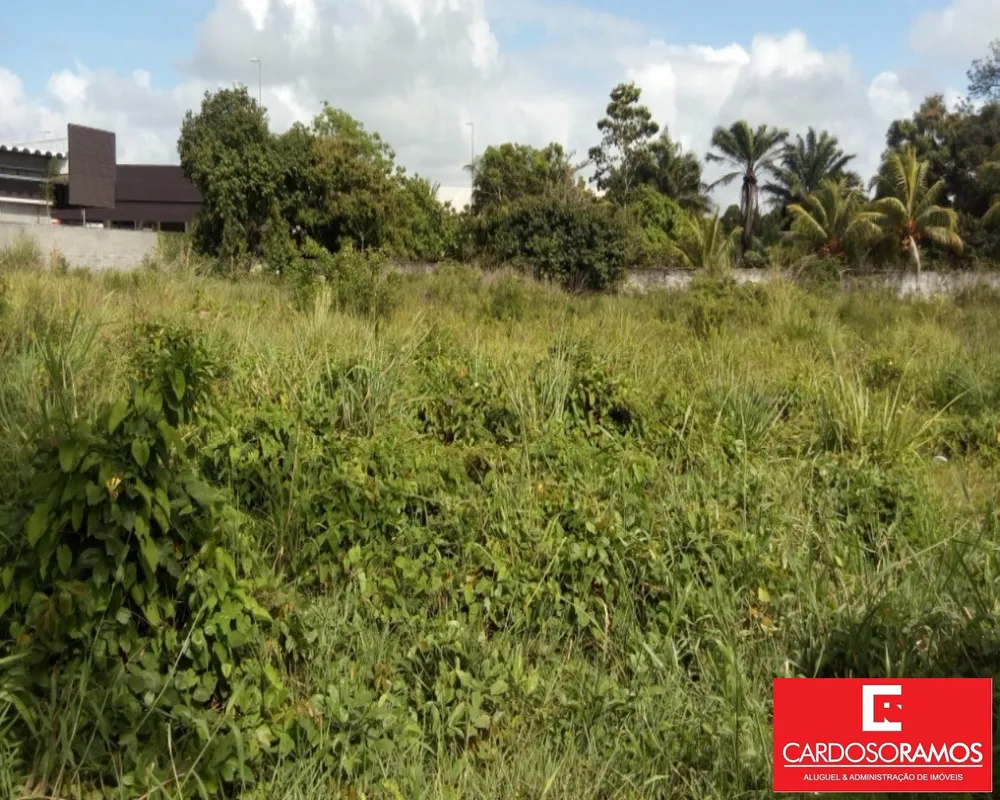 Terreno, 8000 m² - Foto 1