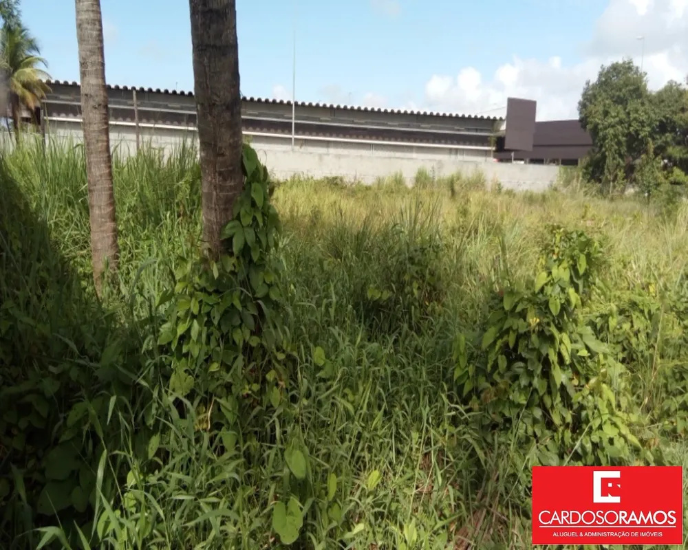 Terreno, 8000 m² - Foto 2