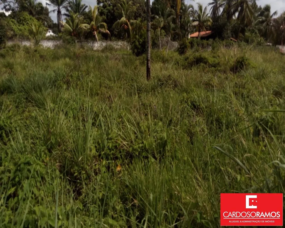 Terreno, 8000 m² - Foto 4