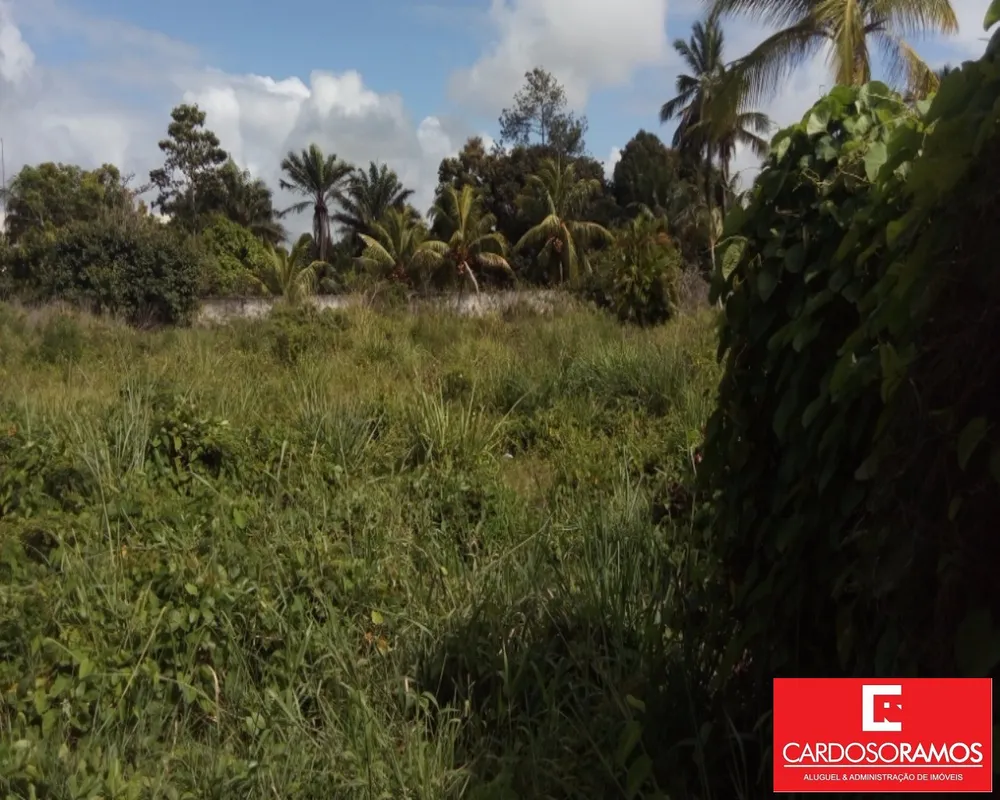 Terreno, 8000 m² - Foto 3