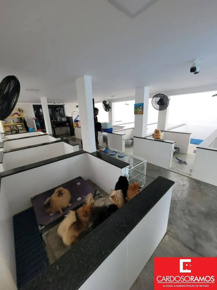 Casa, 4 quartos - Foto 5
