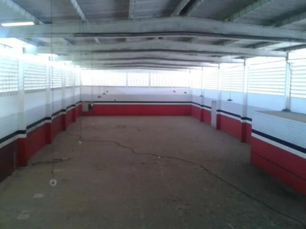 Depósito-Galpão - Foto 8