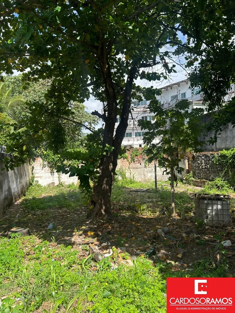 Depósito-Galpão - Foto 2