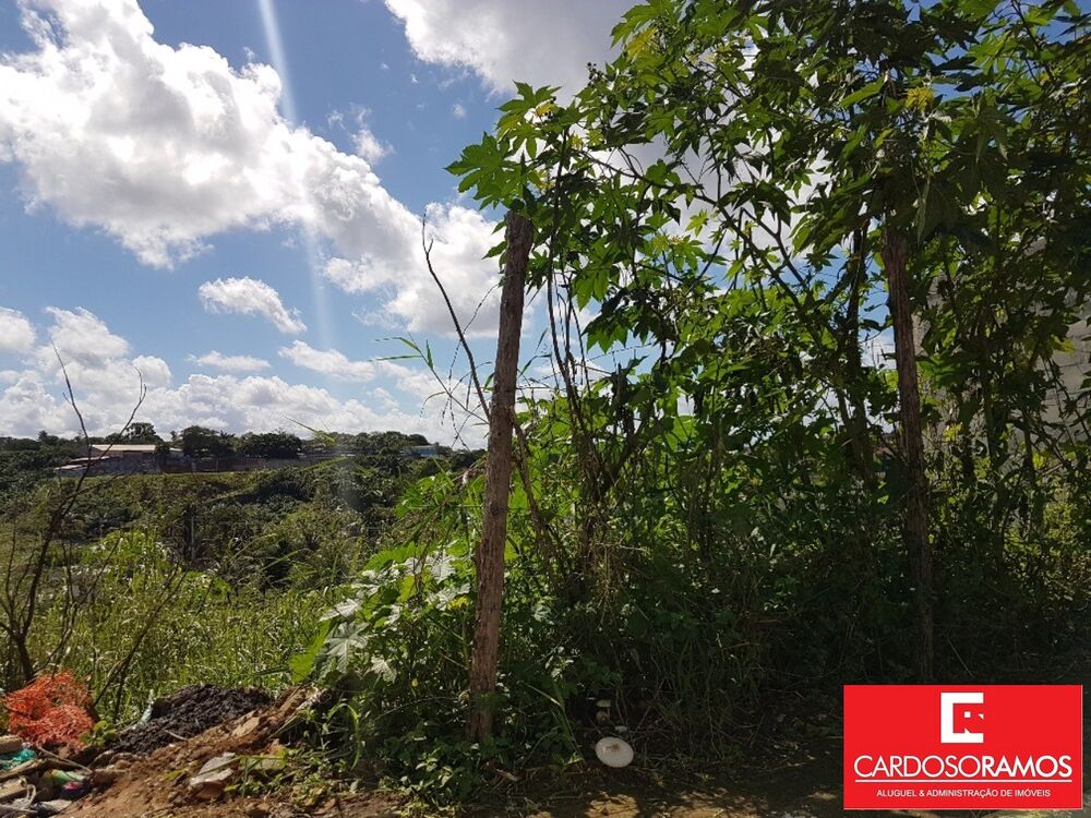 Terreno à venda, 170m² - Foto 2