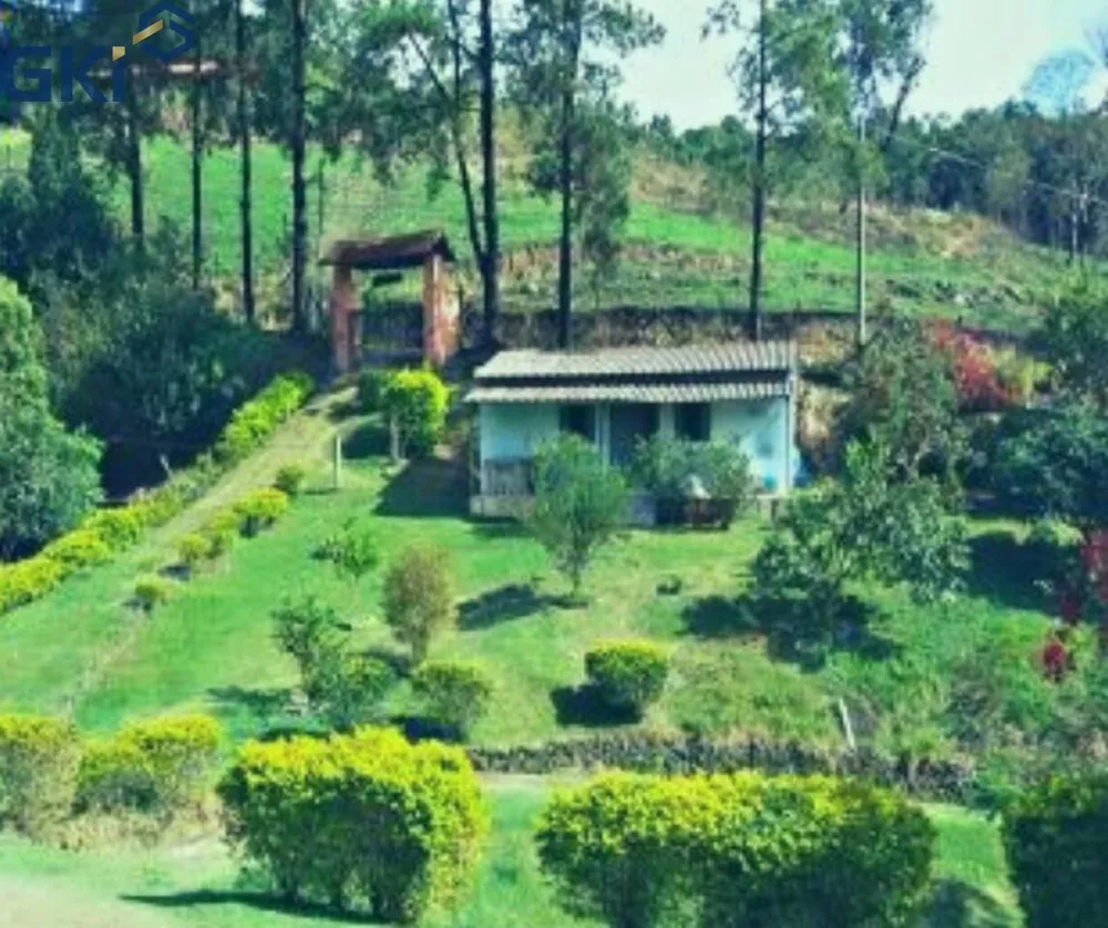 Chácara, 4 quartos, 10000 m² - Foto 8