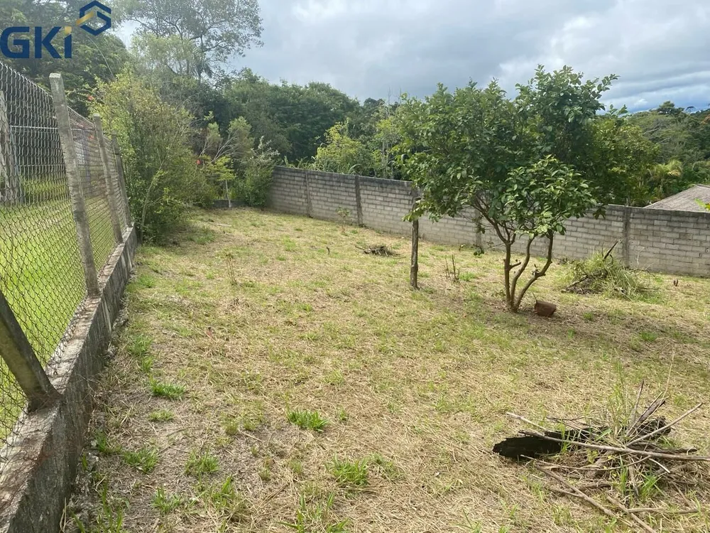 Chácara, 4 quartos, 10000 m² - Foto 4
