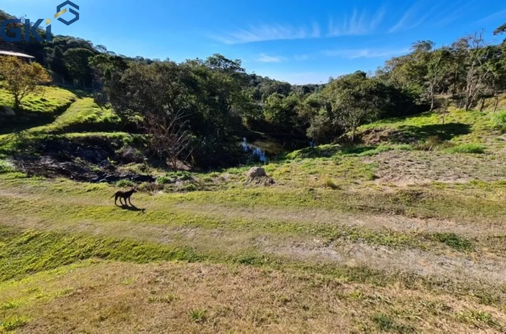 Chácara, 4 quartos, 10000 m² - Foto 1
