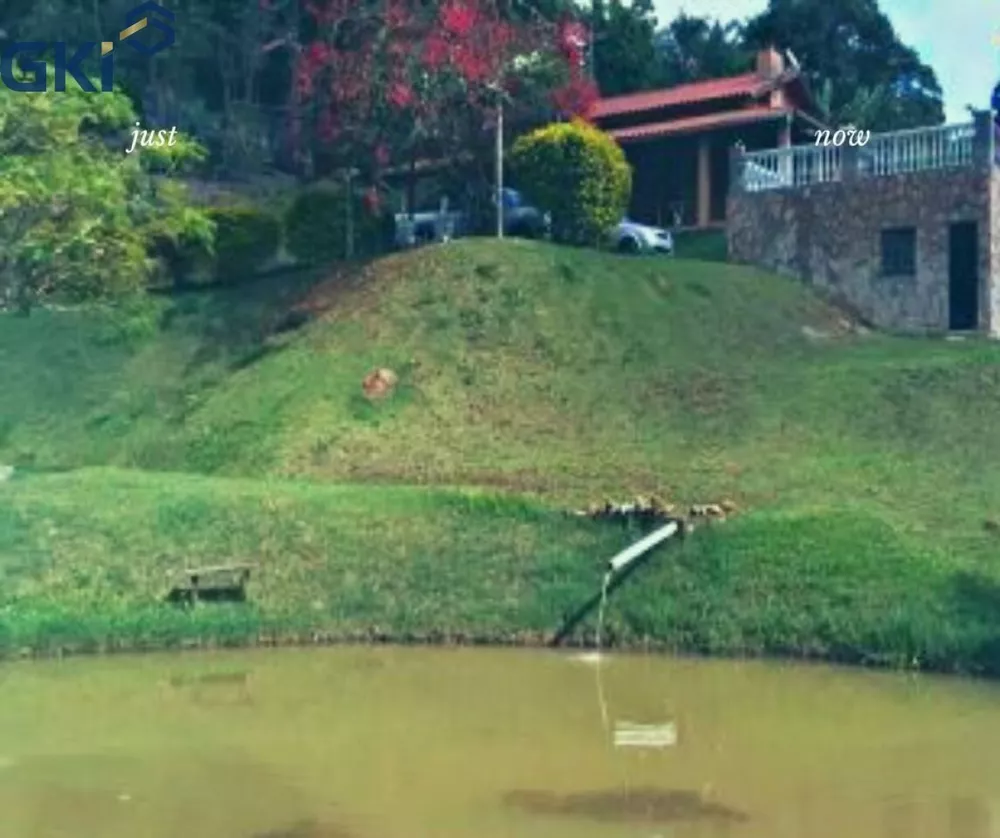 Chácara, 4 quartos, 10000 m² - Foto 2