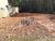 Terreno, 1034 m² - Foto 2