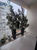 Apartamento, 2 quartos, 104 m² - Foto 2