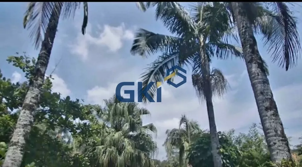 Chácara, 4 quartos, 770 m² - Foto 12