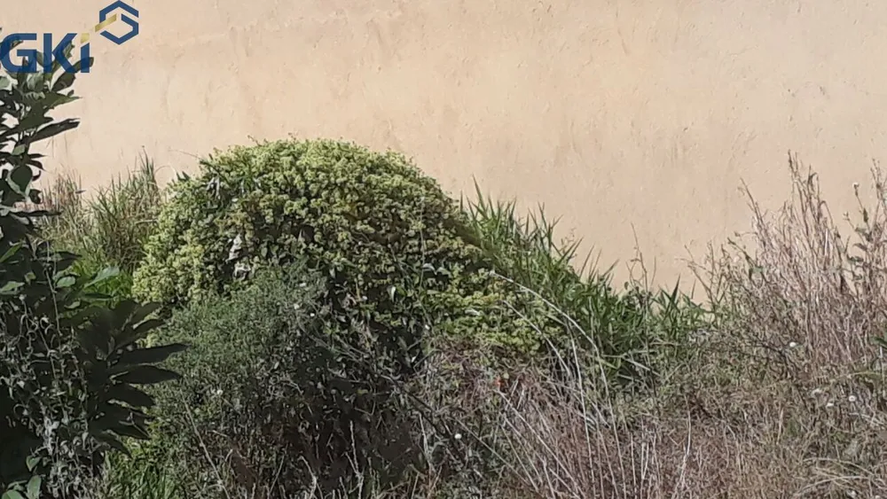 Terreno, 150 m² - Foto 6