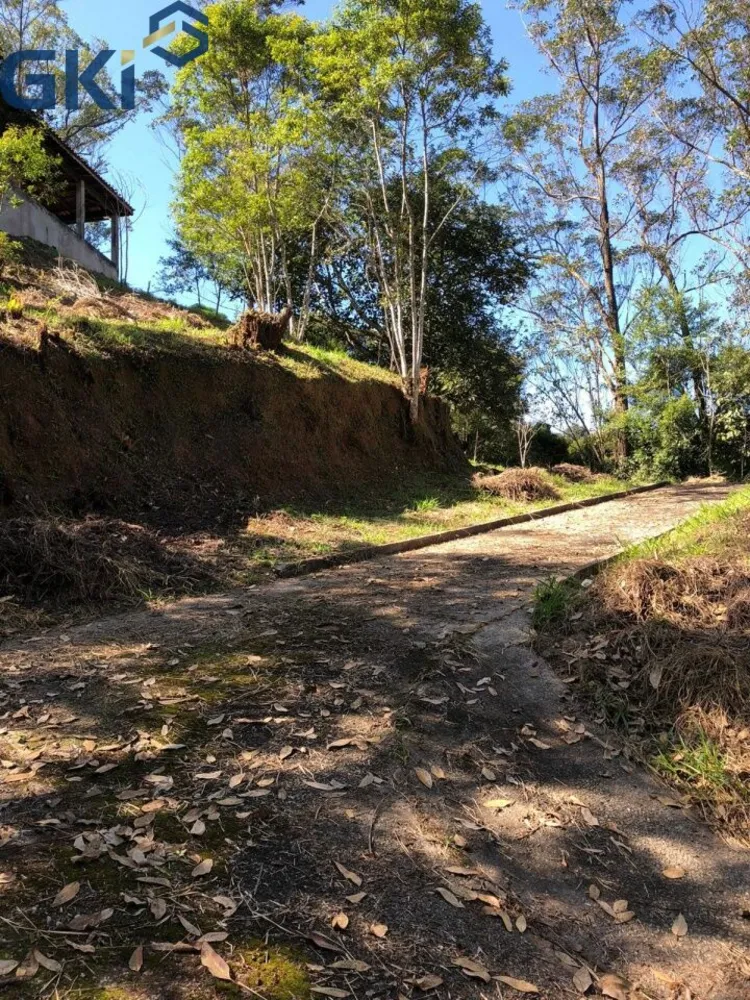 Chácara, 7 quartos, 10000 m² - Foto 10