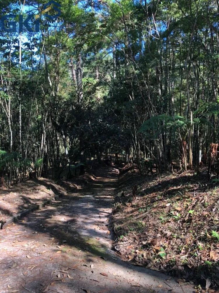 Chácara, 7 quartos, 10000 m² - Foto 4