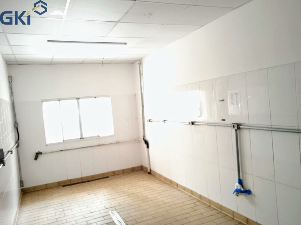 Prédio Inteiro, 300 m² - Foto 4