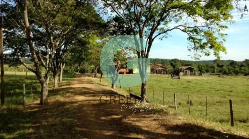 Fazenda, 194 hectares - Foto 3
