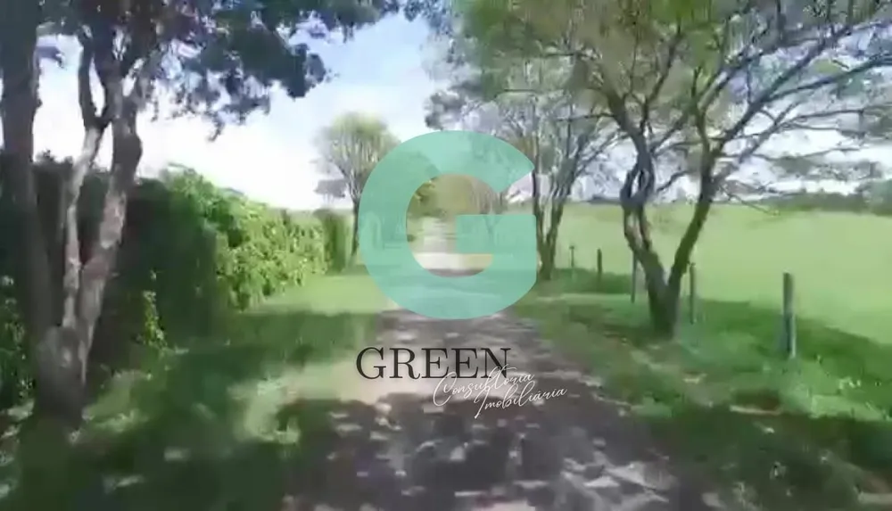 Fazenda, 77 hectares - Foto 14