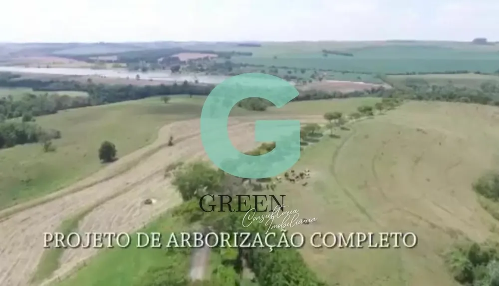 Fazenda, 77 hectares - Foto 9