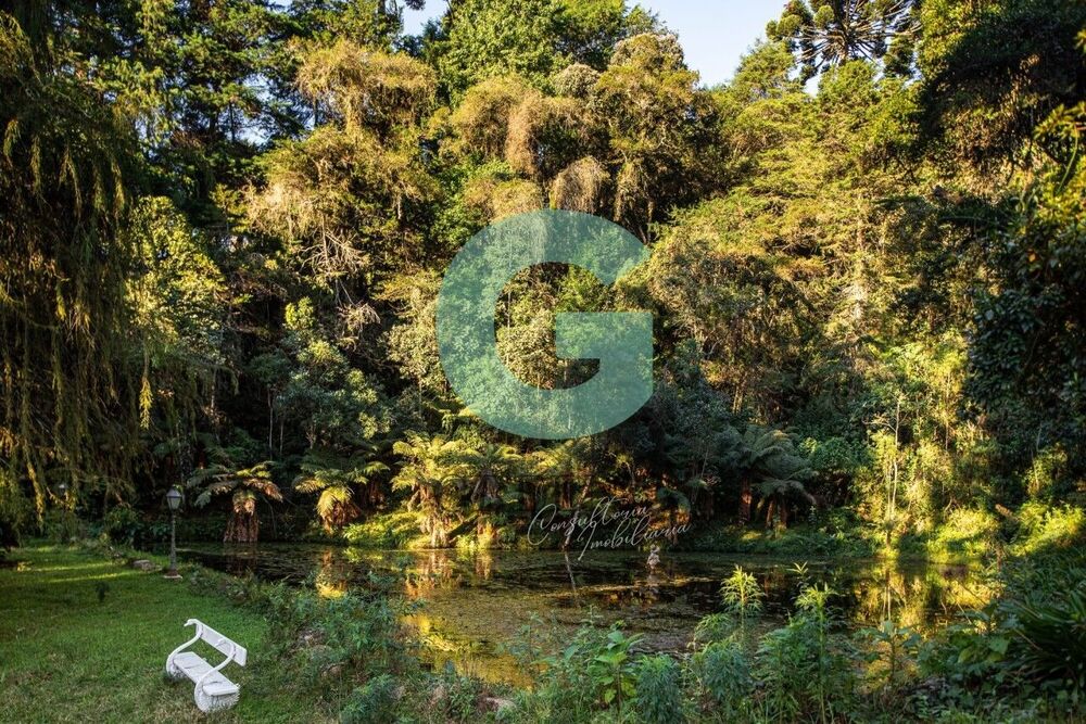 Casa, 5 quartos, 533 m² - Foto 20