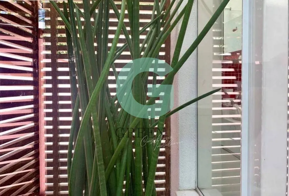 Casa, 4 quartos, 365 m² - Foto 4