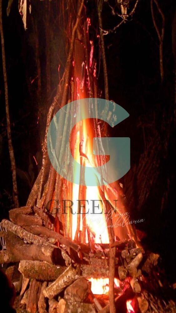 Casa, 4 quartos, 500 m² - Foto 33