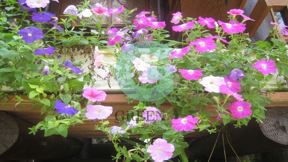 Casa, 4 quartos, 500 m² - Foto 20