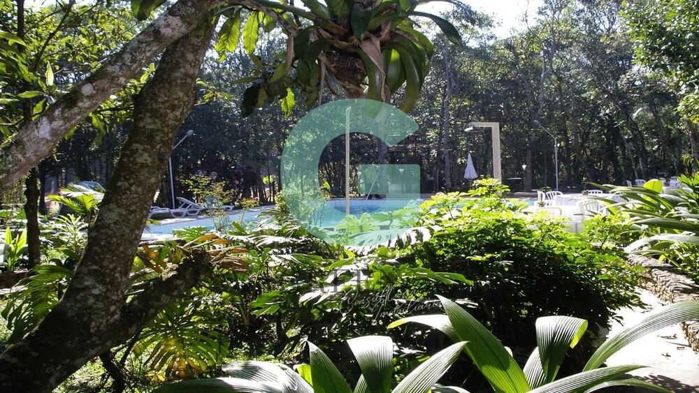 Casa, 4 quartos, 500 m² - Foto 8