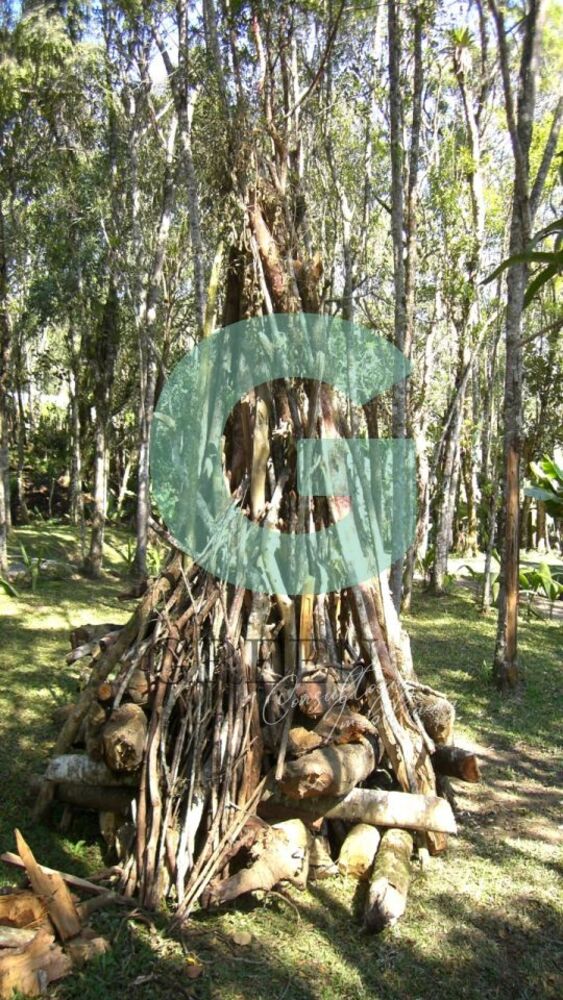 Casa, 4 quartos, 500 m² - Foto 23