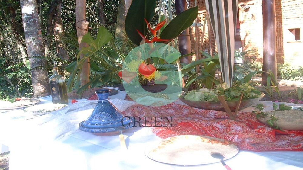 Casa, 4 quartos, 500 m² - Foto 35