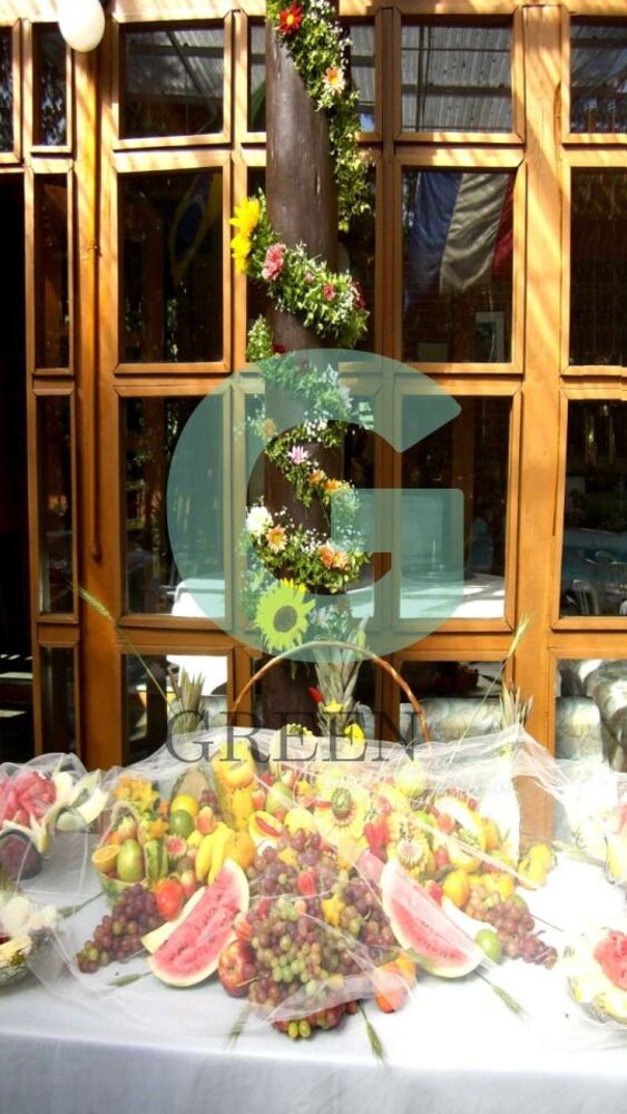 Casa, 4 quartos, 500 m² - Foto 17