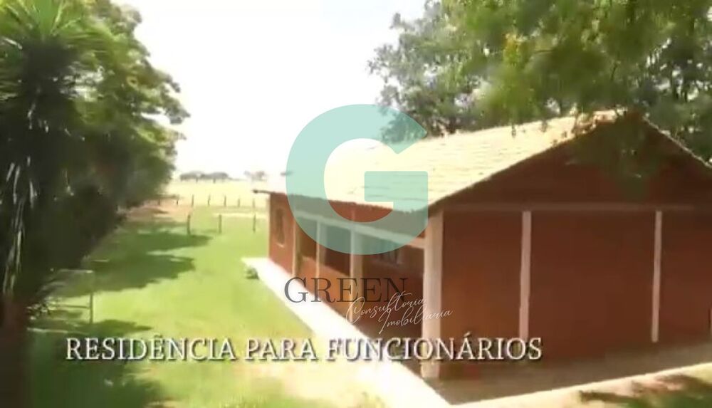 Fazenda, 259 hectares - Foto 16