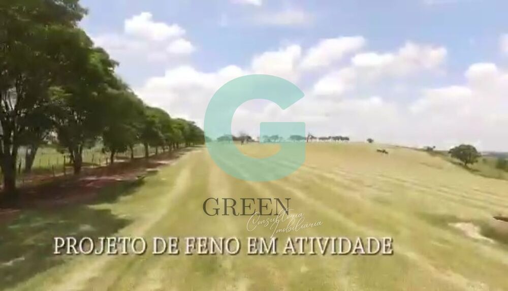 Fazenda, 259 hectares - Foto 18