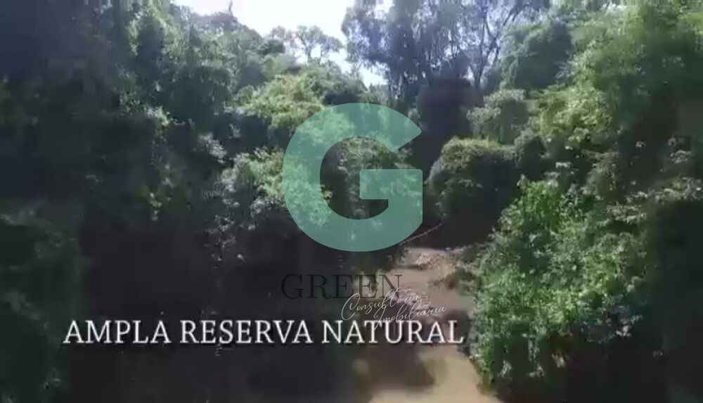 Fazenda, 259 hectares - Foto 7