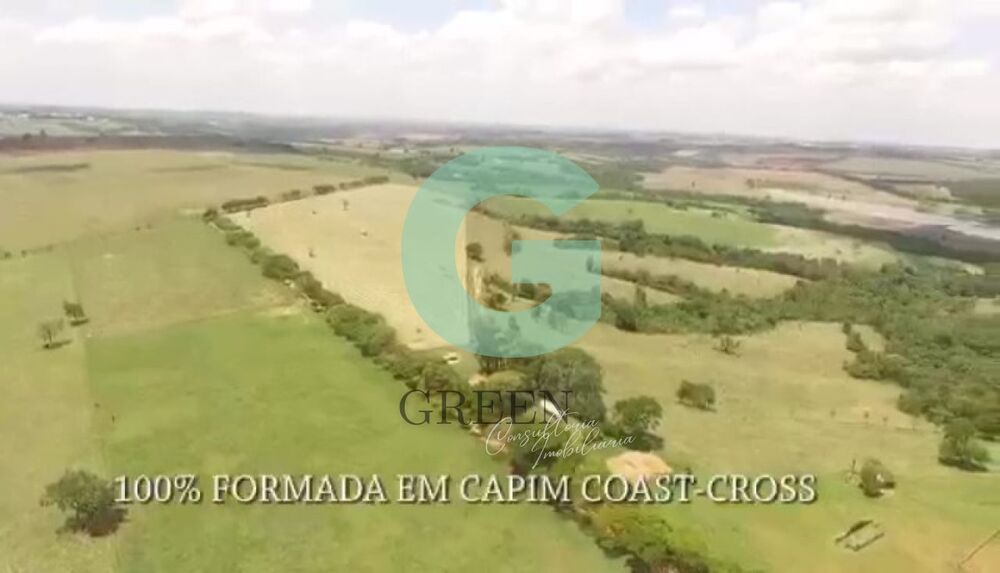 Fazenda, 259 hectares - Foto 17