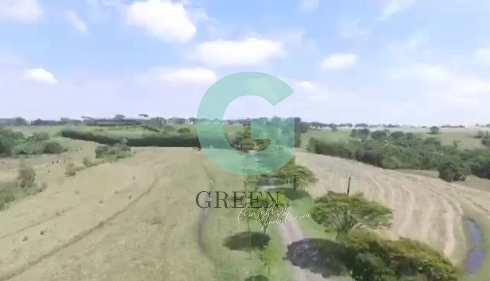 Fazenda, 259 hectares - Foto 2