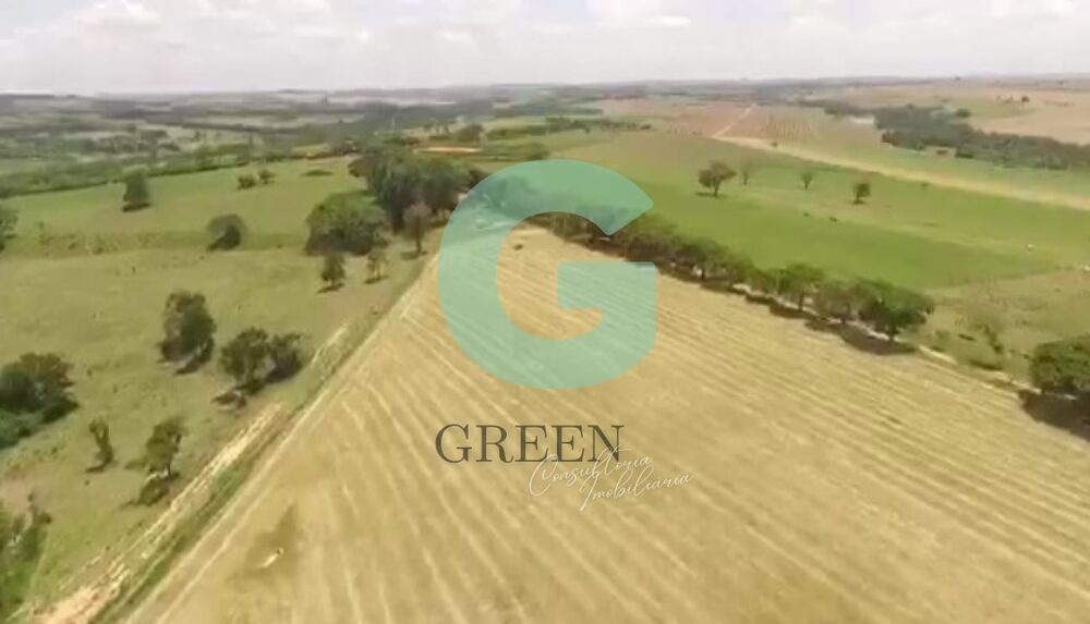 Fazenda, 259 hectares - Foto 19