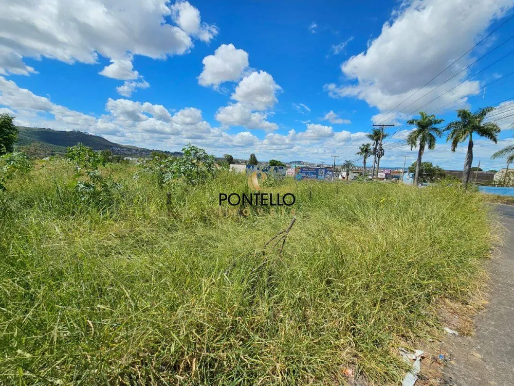 Terreno, 9040 m² - Foto 4