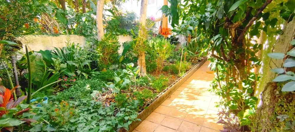 Casa, 3 quartos, 250 m² - Foto 3