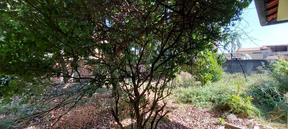 Casa, 3 quartos, 360 m² - Foto 11