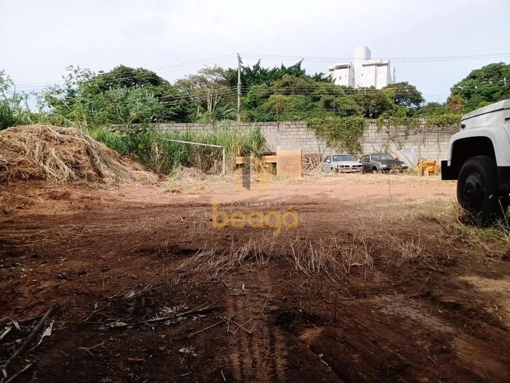 Casa, 4 quartos, 584 m² - Foto 3