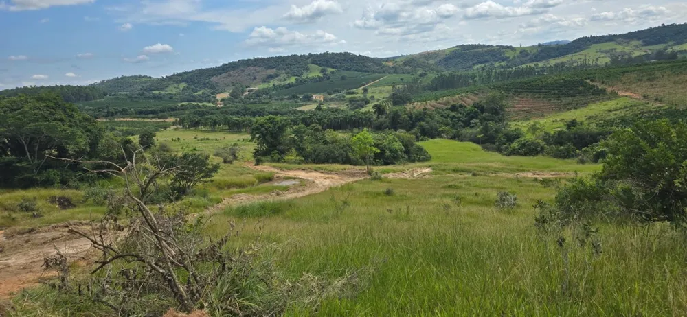 Fazenda, 71 hectares - Foto 11
