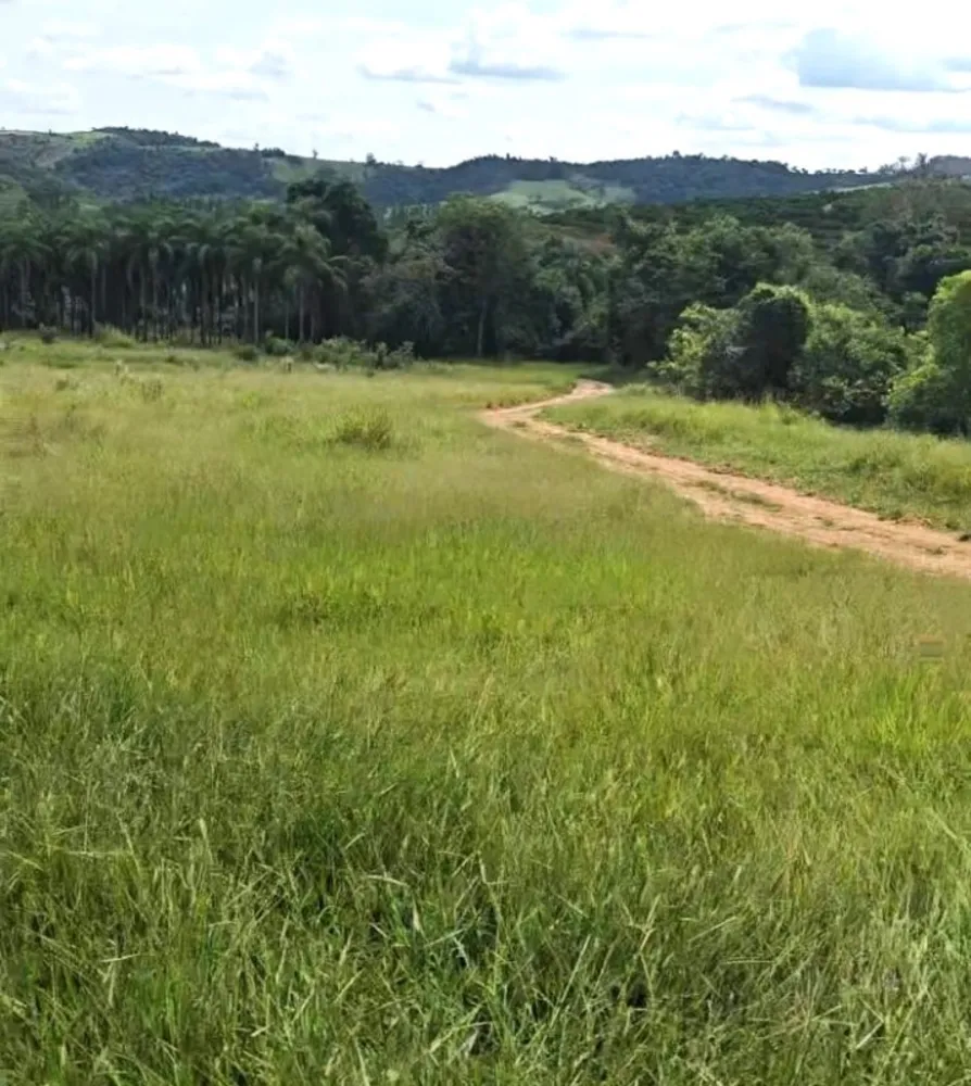 Fazenda, 71 hectares - Foto 5
