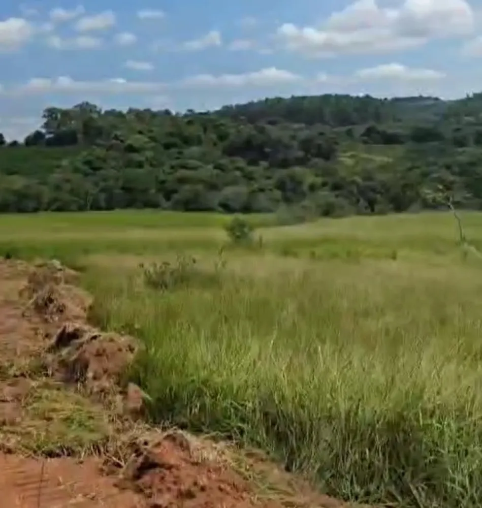 Fazenda, 71 hectares - Foto 6